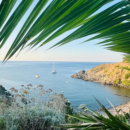 Joli D'oli 2, Pieds Dans L'eau, A Pieds * Port Vendres